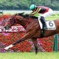 【新潟２歳Ｓ・データ埋蔵金】ノーザンファーム生産×栗東所属×サンデーＲの新馬勝ち　買い条件いっぱいの馬で頭勝負