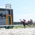 【名古屋・ベイスプリント結果】ゴールデンリングが3連勝で重賞初制覇
