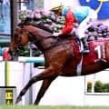 【注目馬動向】香港最強スプリンターのカーインライジング始動戦が決定　「２１連勝を目指して…」シーズン開幕日に登場