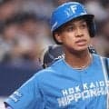 日本ハム　５選手を入れ替え　万波中正外野手ら３選手を抹消　清宮虎多朗投手らを登録
