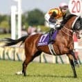 【新潟記念想定馬・騎手】ロデオドライブ、ゾロアストロなど11頭
