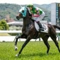 【中京2歳S想定馬・騎手】ジーティーマイカ、サンタンジェロなど6頭