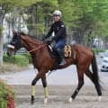 【注目馬動向】青葉賞２着のタイダルロックは復帰戦の日本海Ｓを回避　 ２０日の１週前追い切りで違和感