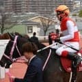 【今日の注目ポイント】朱鷺Sでショウナンザナドゥが復活勝利を狙う