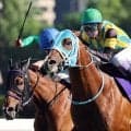 「元気なオジサン」「アラ還ジョッキー頑張りすぎ」武豊騎手と横山典弘騎手の勝利にＳＮＳ大盛り上がり　ＷＡＳＪ