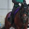 【キーンランドＣ・土曜気配】連覇狙うパンジャタワーは活気満点　陣営「レースに向けての馬の気持ちは去年より強い」