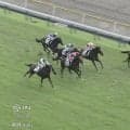 「めっちゃ似てる」栗毛の馬体が“お父さん”にそっくり？ 産駒の新馬戦快勝にファン興奮「相当強い」