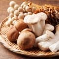 きのこの5つの魅力とは？ダイエットだけじゃない効果や食べ方を解説