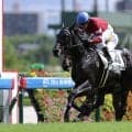 【阪神2R】単勝1.4倍ブレイクガールが快勝…出遅れるも力でねじ伏せる