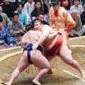 大関とり熱海富士、盤石の内容で豪ノ山寄り切り白星発進「前に出る気持ち強い」八角理事長も評価