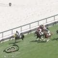 「ファン増えそう」芦毛の馬体と勝ち方が“父そっくり”デビューVの走りにネット沸騰「叫んでしまった」