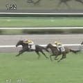 「覚醒してる」美人女性騎手が“7年ぶりJRA勝利”…そのまま連勝の快進撃にファンも祝福「可愛い笑顔にほっこり」「華がある」