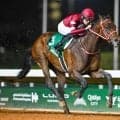 3日間開催で神戸新聞杯など3重賞 フォーエバーヤングの米遠征にも注目/今週の競馬界の見どころ