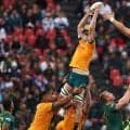 注目のラグビー国際試合。好調のオーストラリア代表が世界最強の南アフリカ代表に挑む