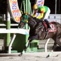 【阪神アーバンナイター】エコロガイアが逃げ切って重賞初勝利　小牧太騎手「いいスピードを持っている」園田チャレンジＣ