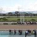 【園田チャレンジC結果】エコロガイアが転入初戦で重賞初制覇