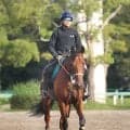 【２６日の注目・阪神１２Ｒ】セレクト３億円の超高額馬スターウェーブが初ダートで新境地を切り開く