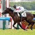 【阪神４Ｒ・２歳新馬】横山典弘騎手の１０番人気ギブリがＶ　松永幹夫調教師「いい位置を取れましたね」