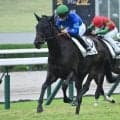 【阪神5R新馬戦結果】キタサンブラック産駒ネーロノワールが人気に応えて快勝