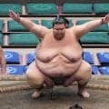 現役最重量力士252キロの出羽ノ城が引退、今後は「オファーお待ちしています」