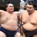 【１４日目の見所】優勝争いとは別に負けられない戦いがある。熱海富士は大関取り継続のために２ケタは必要　藤ノ川は２ケタで大関取りの起点を作りたい