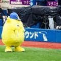 【阪神】２戦連続オーダー同じ、先発は才木浩人　優勝M5／スタメン一覧