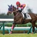 【中山5R新馬戦結果】シュヴァルグラン産駒フェイマスジャズが初陣飾る