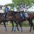 土曜阪神競馬場の注目激走馬…阪神１１Ｒシリウスステークス・Ｇ３