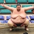現役最重量力士・出羽ノ城が引退　最後の取組を白星で締め「勝てて良かった」　今後はタレントの道へ「オファーお待ちしています」
