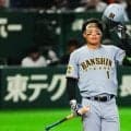 森下翔太20死球で発見…伝説助っ人が「1人で占領」　衝撃記録にSNS騒然「マグネット」