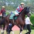 【シリウスＳ】三浦皇成騎手「久しぶりに動ける状態」も…ラムジェット直線伸びず７着　２年３か月ぶりの白星ならず