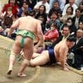 優勝争いは大の里と安青錦の２人に絞られる　千秋楽結びの一番で直接対決、勝った方が優勝