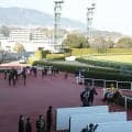 9月26日の出来事一覧/中山・阪神