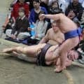 新関脇・藤ノ川　朝乃山から初白星で１０勝到達「力がついたと自信になる」　２１歳の躍動に八角理事長も「たいしたもの」