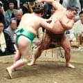 「ただ、堕落！」一山本が４日ぶりの３勝目、５キロ増の体重160キロになった理由をきっぱり