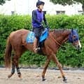 【日本テレビ盃・枠順確定】帝王賞連覇のミッキーファイトは７枠７番　重賞４勝のベアバッキューンは６枠６番