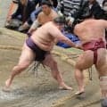 美ノ海が１０勝目　沖縄県初の三役昇進に大きく前進　敢闘賞も受賞