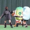 【すしレース】シーズン終盤にようやく芽が出た？芽ネギが６勝目、ウニは最下位脱出へ崖っぷち