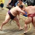 美ノ海が「千秋楽勝てば」の条件クリアし２度目の敢闘賞　沖縄県出身初の新三役有力な10勝到達