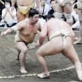 大関足がかりつくった藤ノ川「声援が増えた」相撲を取る稽古再開、関西への巡業が楽しみ【大相撲】