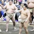 翔猿が幕内復帰に決意　同級生の女子プロレスラーの活躍が励みに「自分も負けないように」【大相撲】