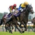 【アイルランドT枠順確定】カムニャックは8枠16番、クイーンズウォークは2枠3番