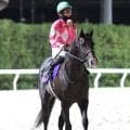 【注目馬動向】ワンダーディーンはＪＢＣクラシックに向かう　アンズアメはＪＢＣレディスクラシックへ