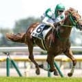 【サウジアラビアRC予想】2歳戦は前走の経験が重要！ 能力的にも疑問が残る軽視すべき人気馬