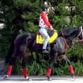 【アイルランドＴ】前走コースレコードＶのラヴァンダは好調キープ　中村調教師「不安なく競馬に向かえるかな」