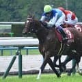 【富士S想定馬・騎手】トロヴァトーレ、シュガークンなど15頭