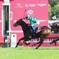 ４８年ぶりに牡馬で凱旋門賞連覇のダリズが電撃引退！　アガ・カーンスタッズで種牡馬入りへ