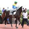 【１０日の注目・京都８Ｒ】福永厩舎のコントレイル産駒　２・６億円馬のドラゴンバルドが無傷２連勝へ　福永調教師「レベルの高い馬」