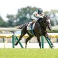 【サウジアラビアRC予想】東京芝1600mの2歳重賞 スピードと瞬発力に加え操作性がカギ