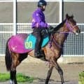 【注目馬動向】エフフォーリア産駒のチェスティーノは予定していた百日草特別を回避　